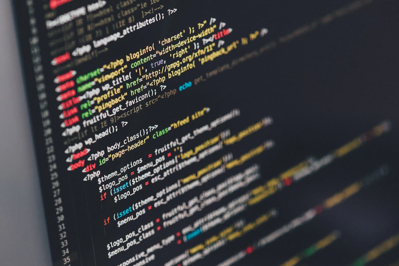 Developer workstation for custom web application development
